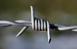 bersetzung polnisch